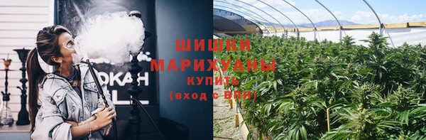 мдпв Елабуга
