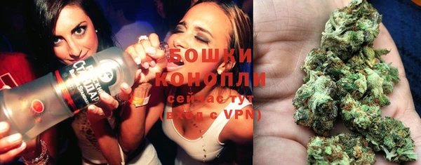 мдпв Елабуга