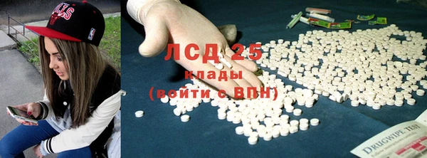мдпв Елабуга
