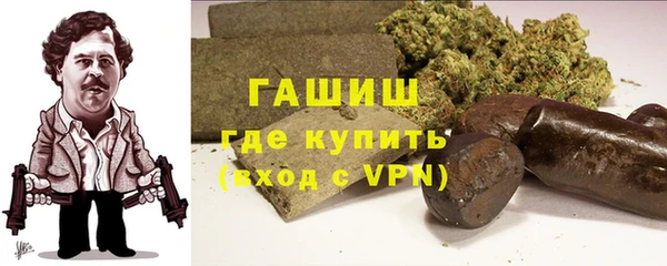 мдпв Елабуга