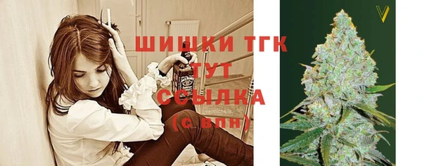 мескалин Ельня