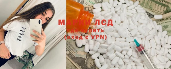 мдпв Елабуга