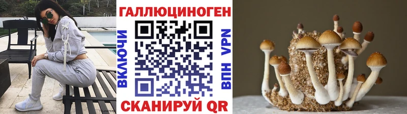 Купить закладки  Далматово  Псилоцибиновые грибы прущие грибы 
